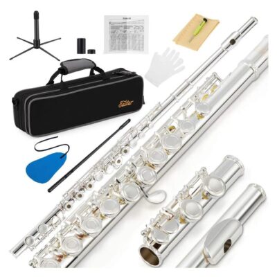 Eastar EFL-2 Open/Close Hole C Flutes 16 Keys Silver Plated Beginner FluteSet, Silver Plated