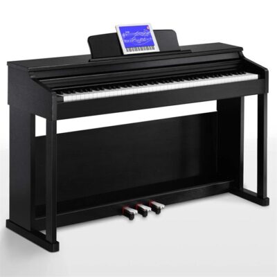 Donner DDP-100 Fully Weighted Digital Piano - Black / Piano