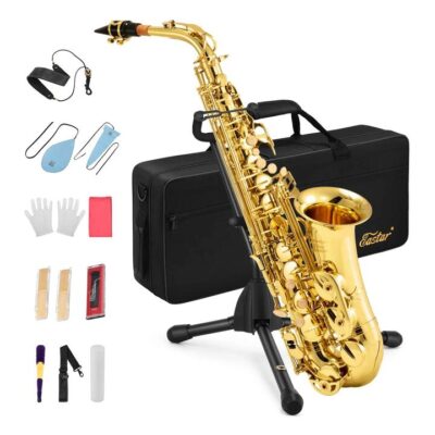Eastar AS-Ⅱ E Flat Alto Saxophone Student Set